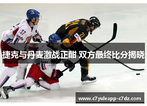 捷克与丹麦激战正酣 双方最终比分揭晓